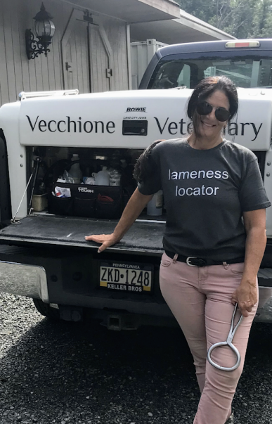 Lameness Locator | Vecchione Veterinary